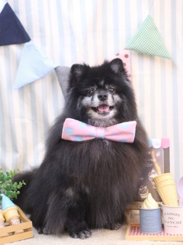 20250507ふわりちゃん